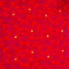 Cotton Dhakai Jamdani-JaalMaroon