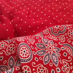 Ragasri - Crimson Modal Silk+Tissue pallu
